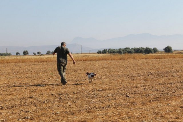 Αγωνες Α.Κ.Ι 11/6/2017